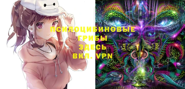 метадон Армянск