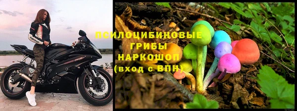 не бодяженный Аркадак